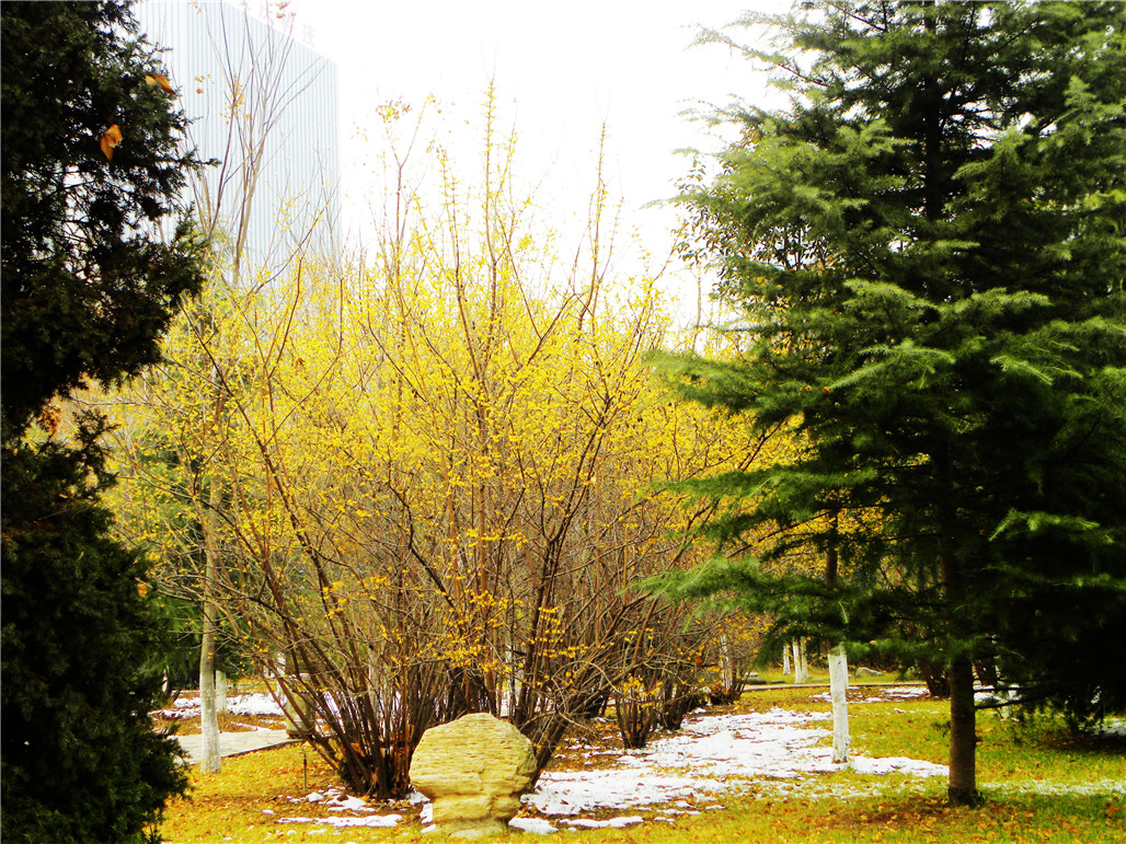 DSCN6056.JPG