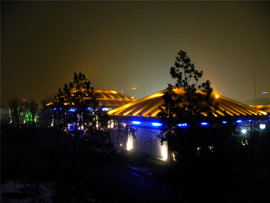 DSCN4942.jpg