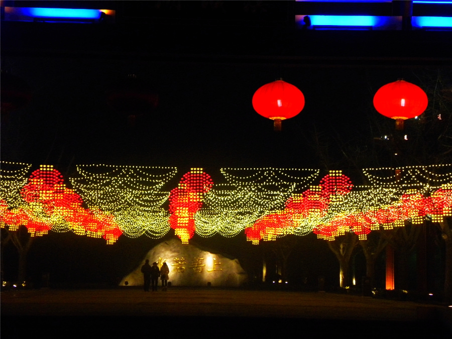 DSCN4966.jpg