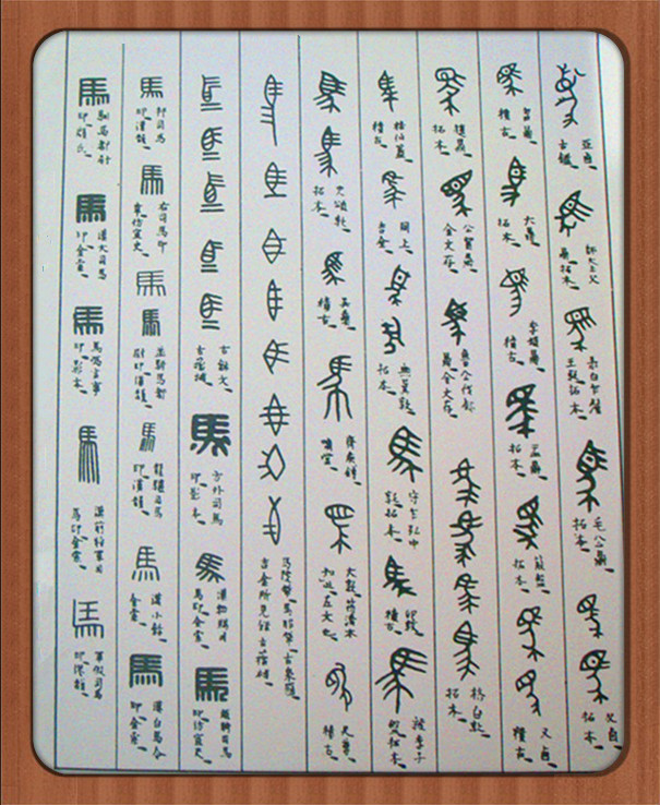 DSC09580_副本_副本.jpg