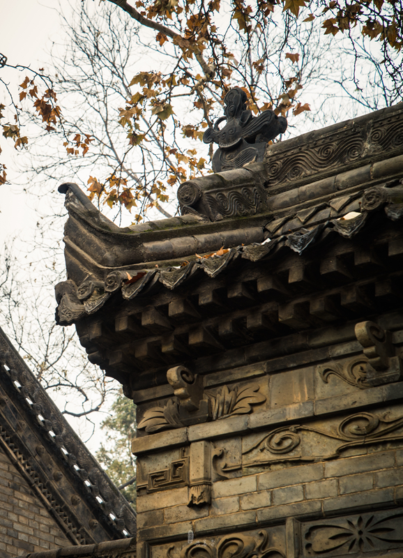 DSC_5871-1.jpg