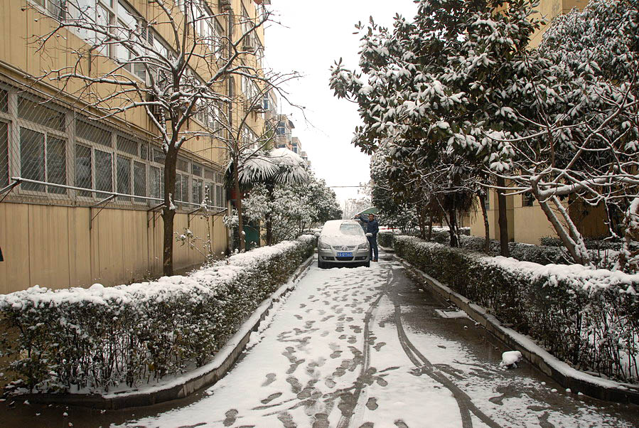 小区第一场雪 (12).JPG