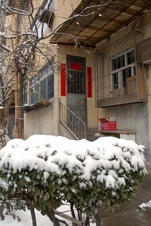 小区第一场雪 (13).JPG
