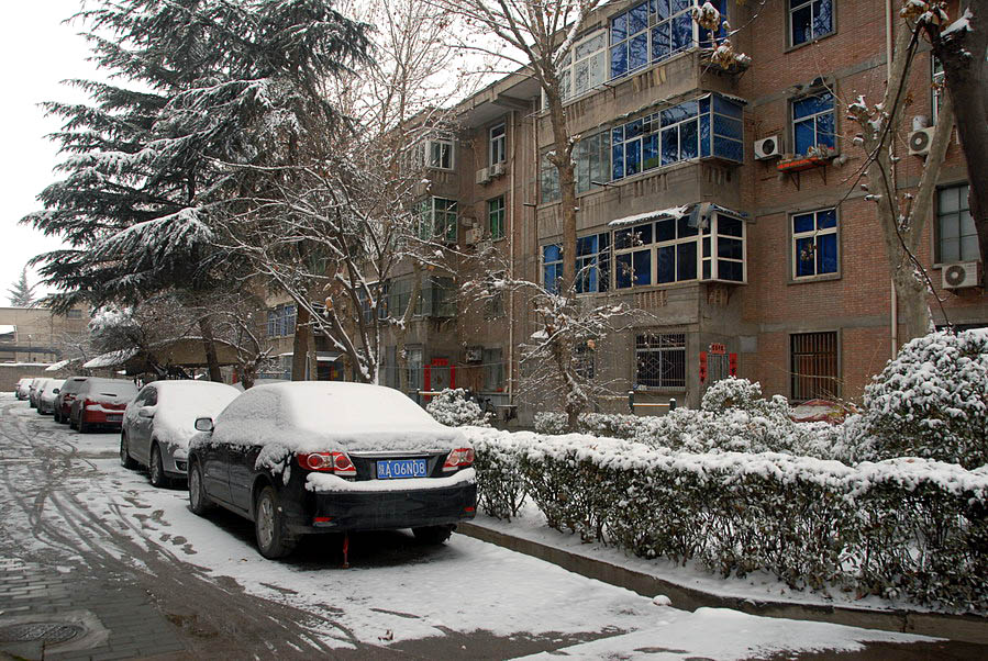 小区第一场雪 (15).JPG