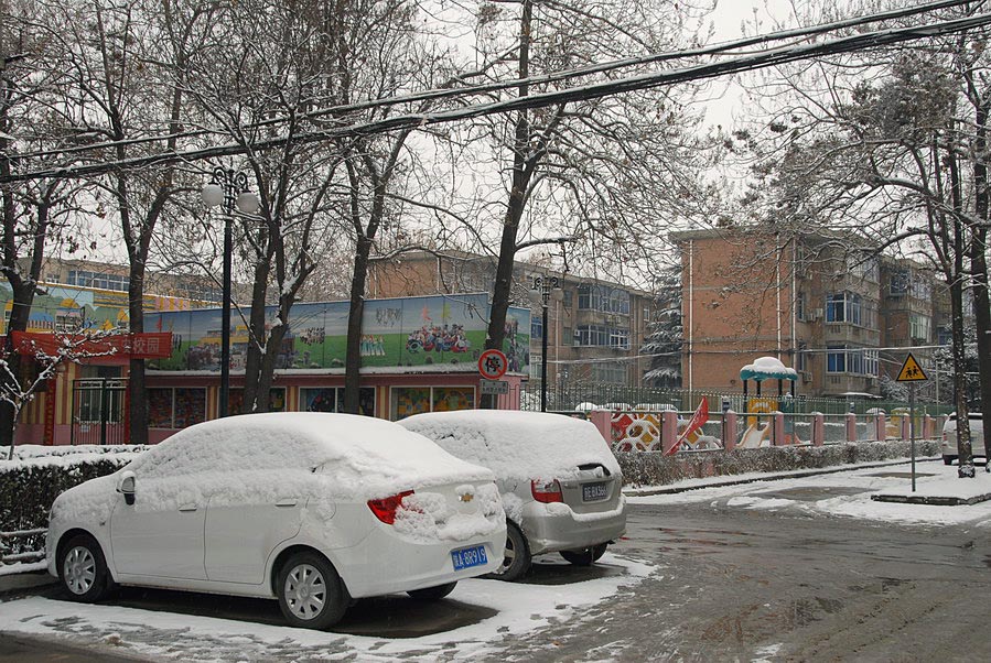 小区第一场雪 (18).JPG