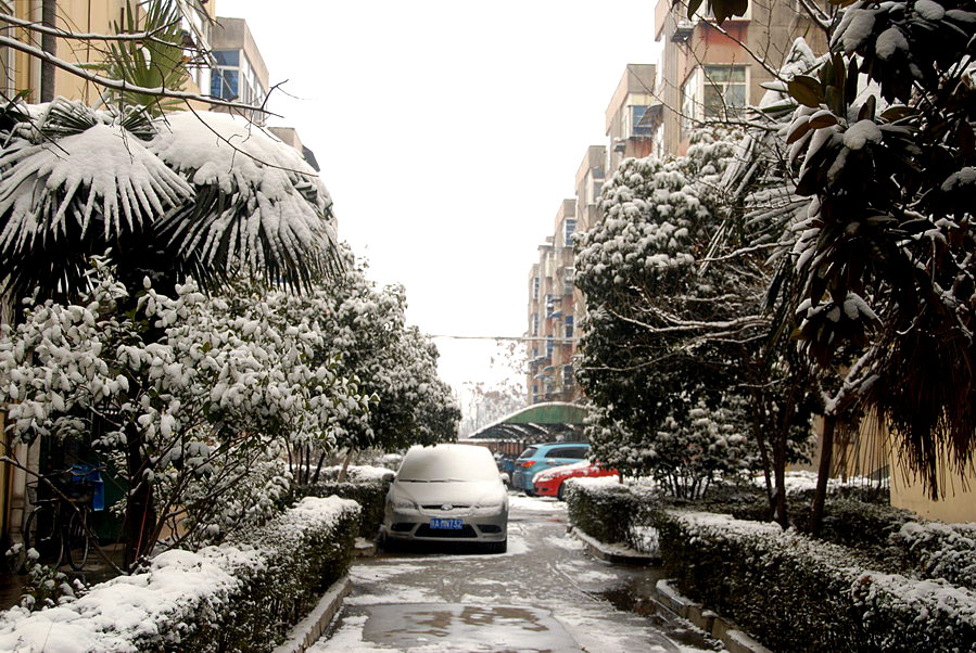 小区第一场雪 (21).JPG