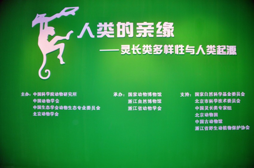 DSC_1079_conew1.jpg