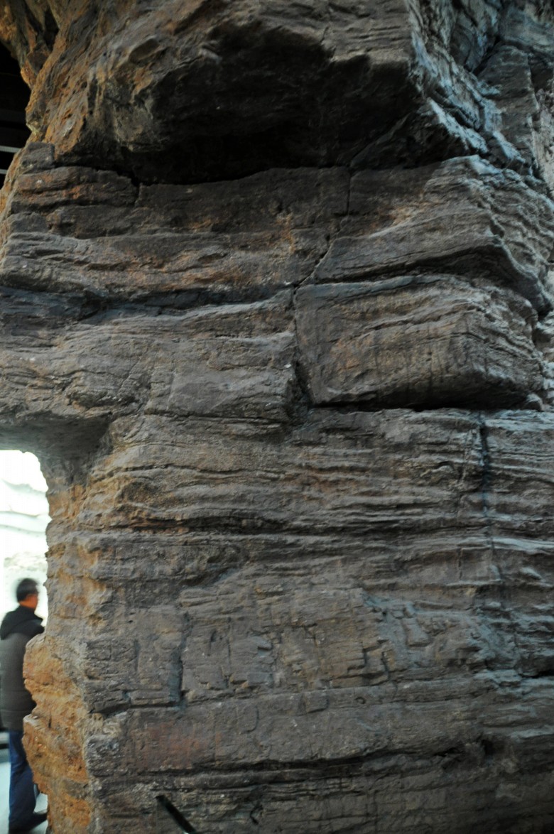 DSC_0460_conew1.jpg