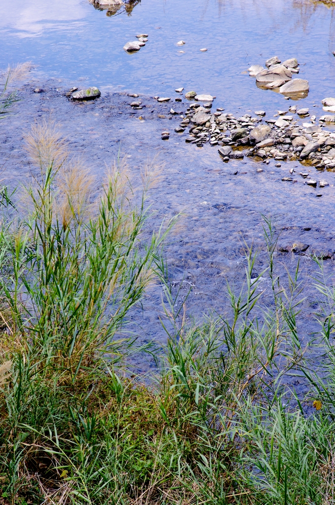 IMGP0188.jpg