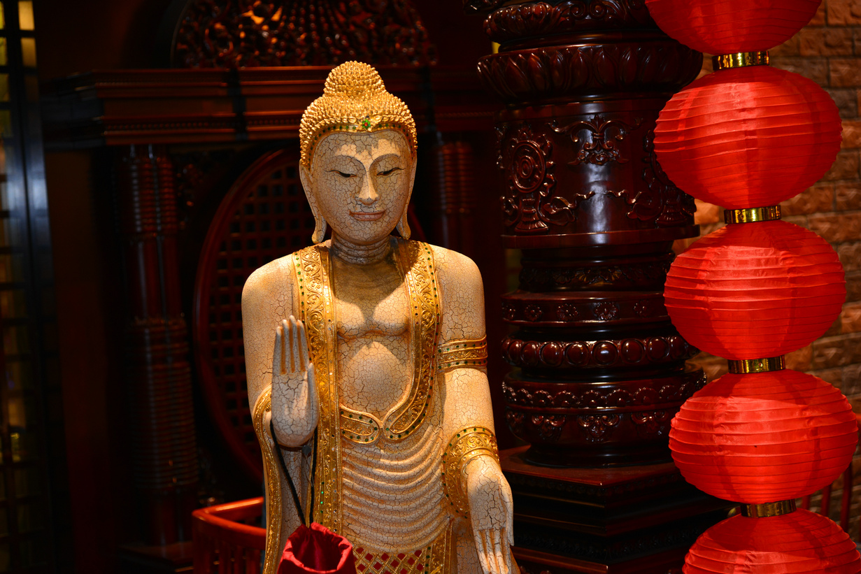 DSC_8217.JPG