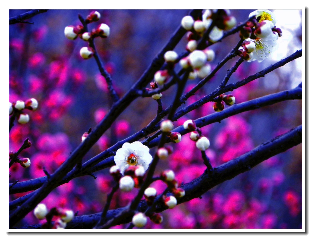 DSCN8593.JPG