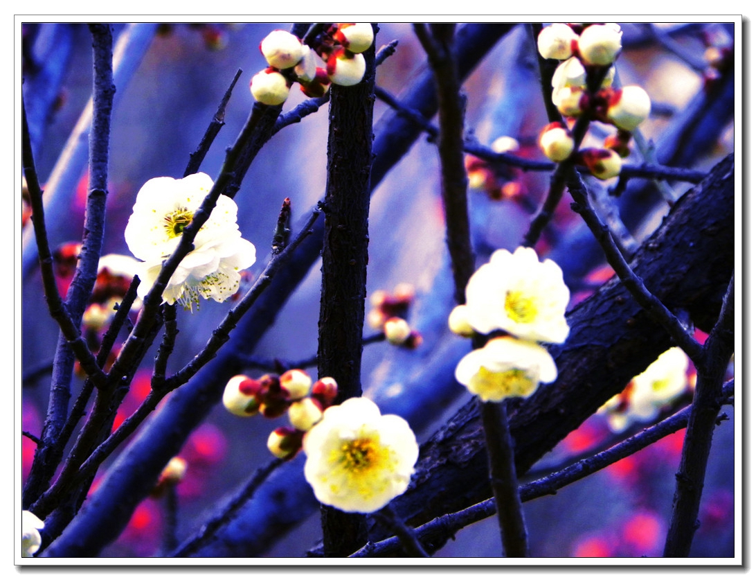 DSCN8595.JPG