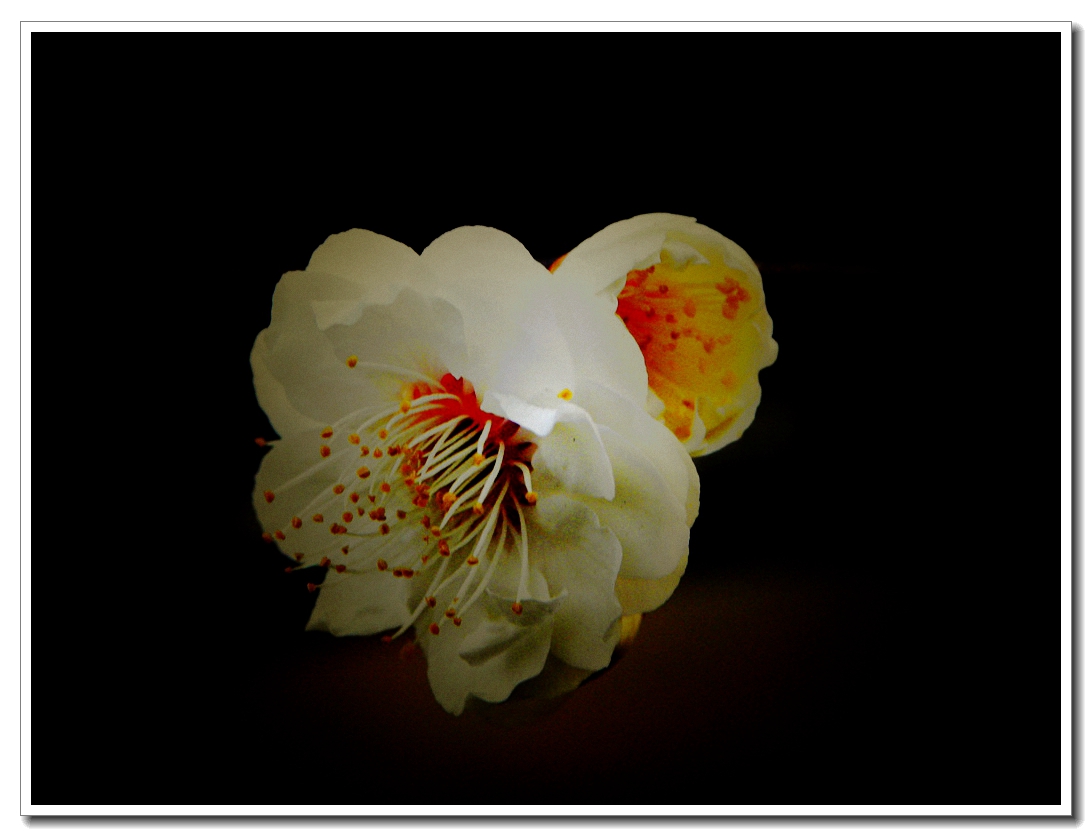 DSCN8565.JPG
