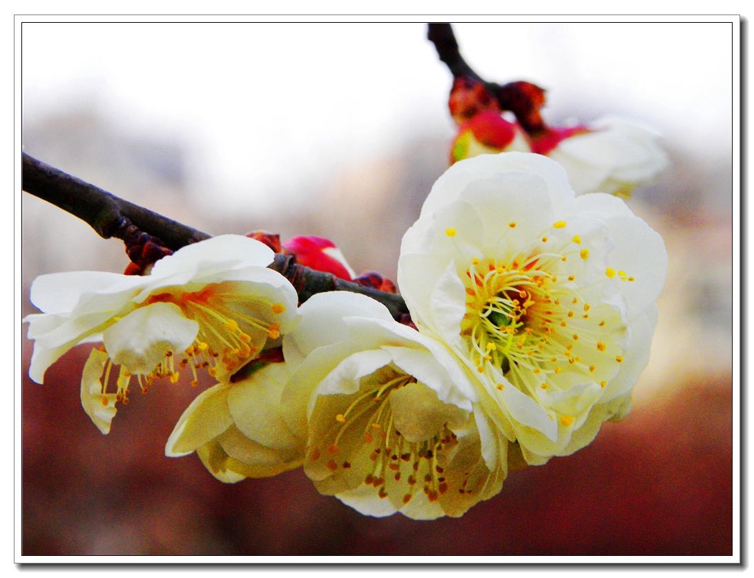 DSCN8579.JPG
