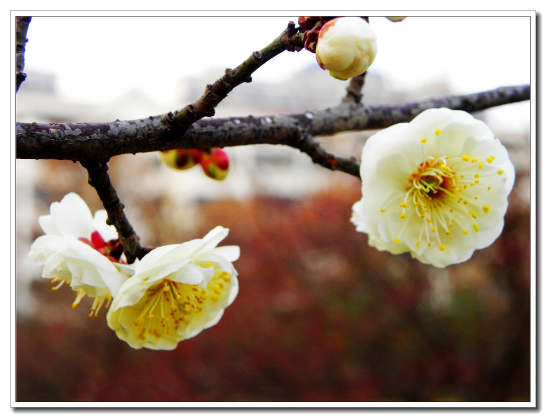DSCN8583.JPG