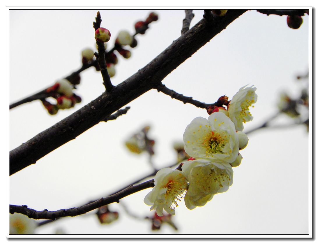 DSCN8588.JPG