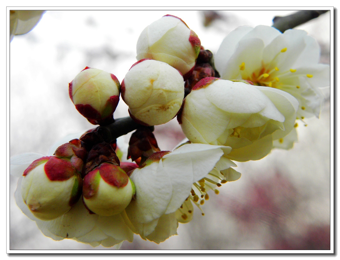 DSCN8635.JPG