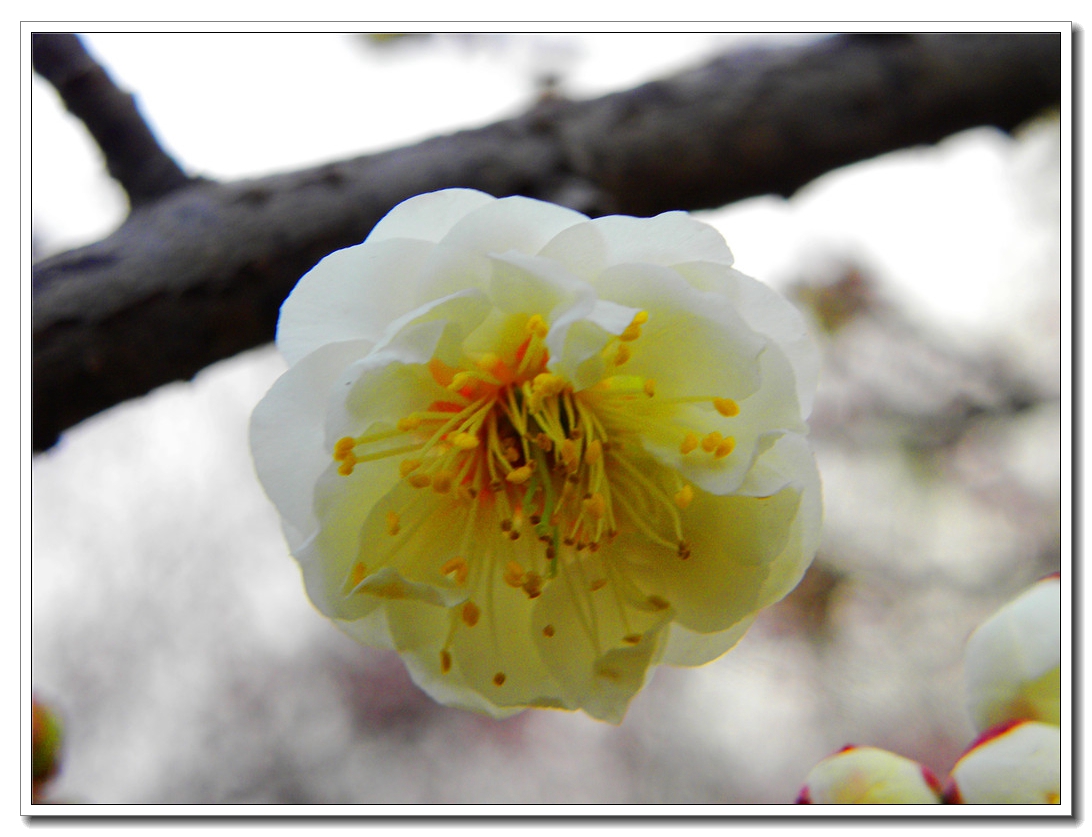 DSCN8638.JPG