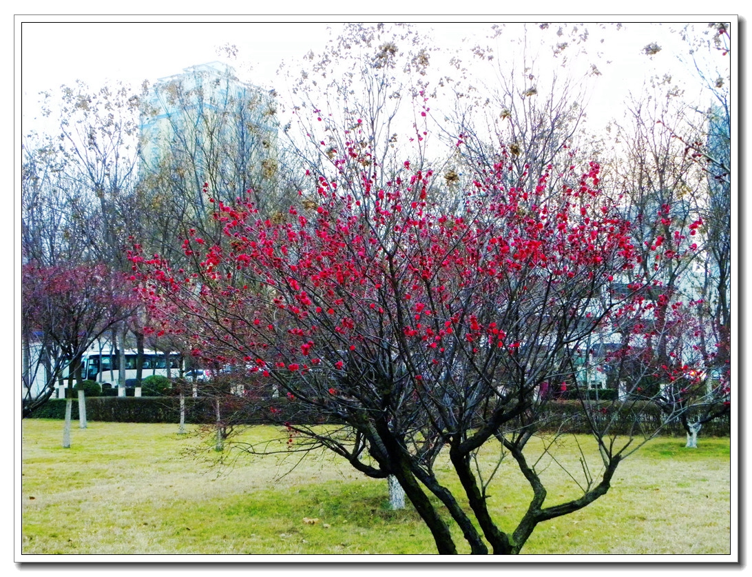 DSCN8767.JPG