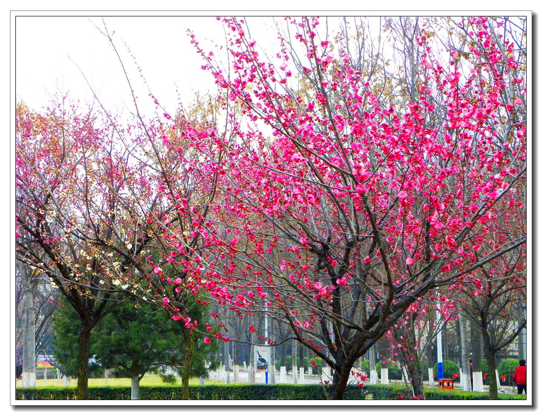DSCN8645.JPG