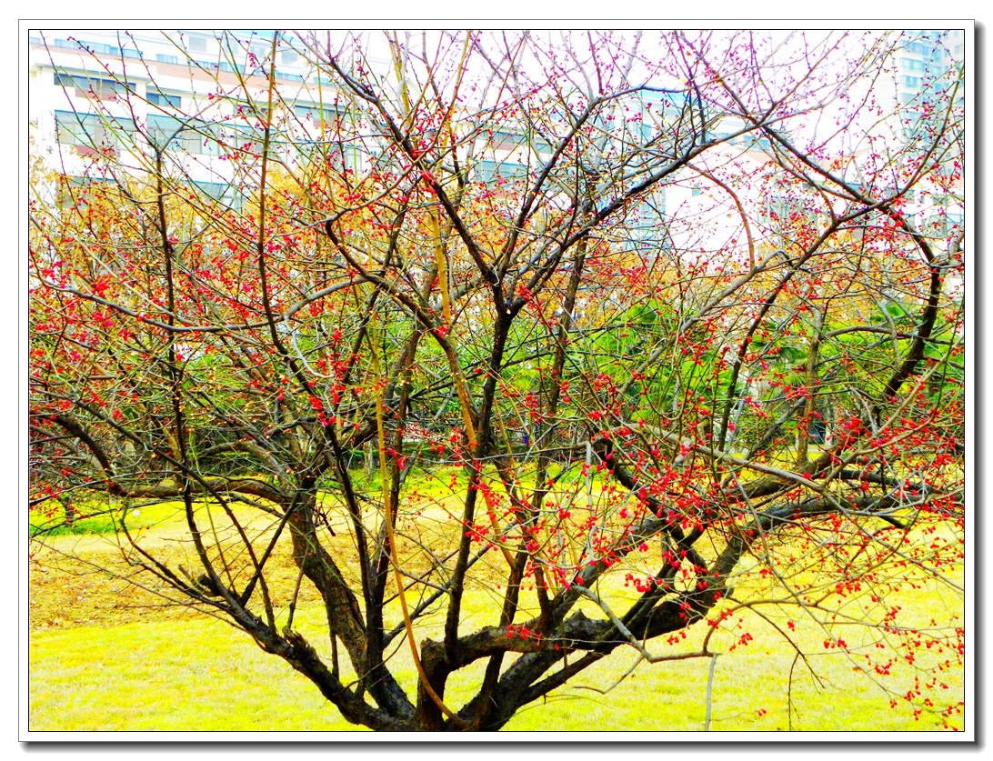 DSCN8646.JPG