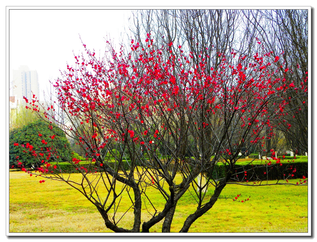 DSCN8648.JPG