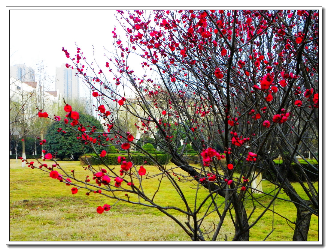 DSCN8696.JPG