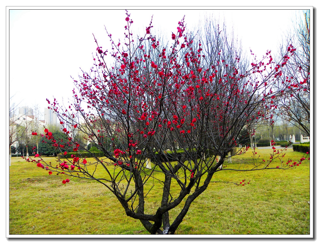 DSCN8697.JPG