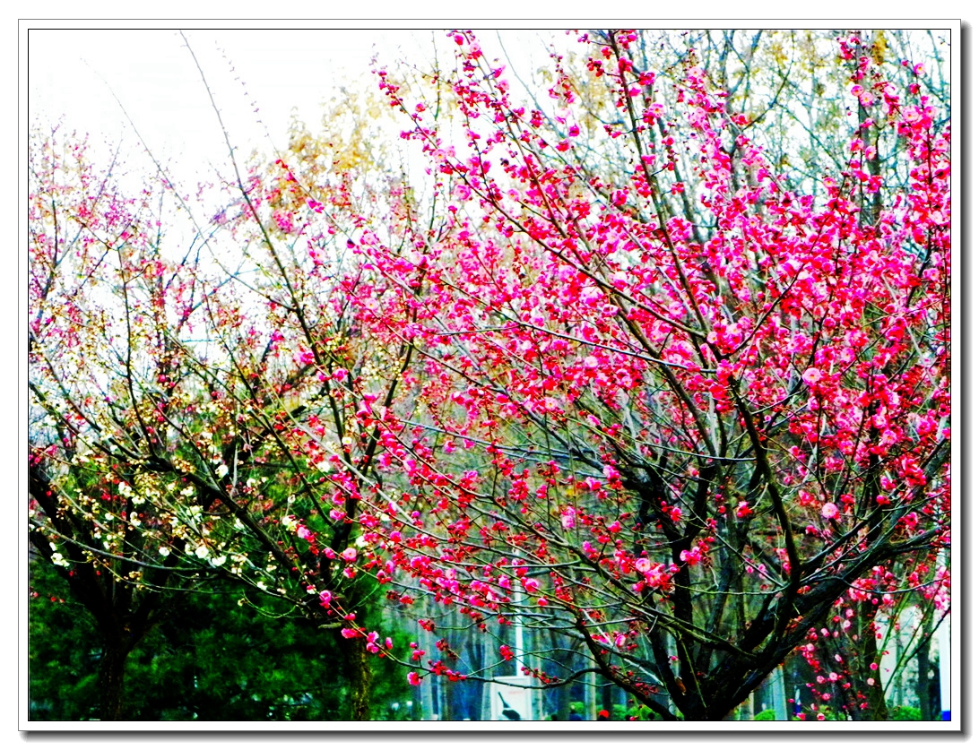 DSCN8705.JPG