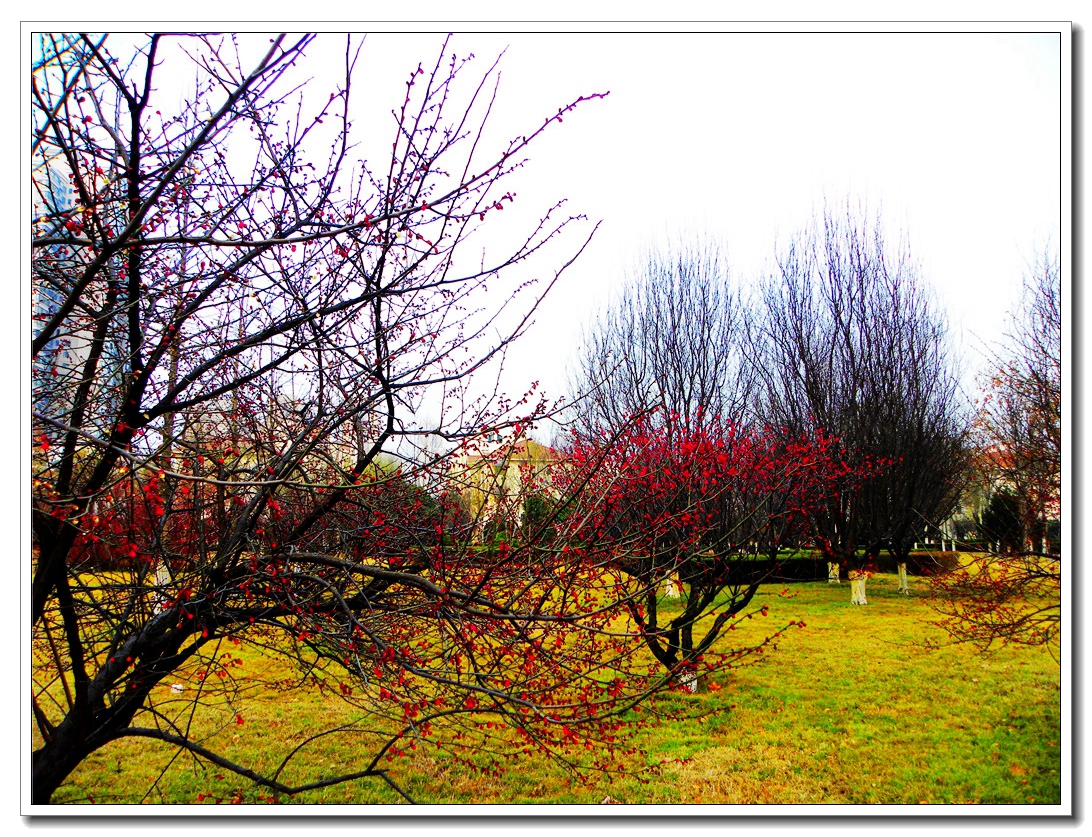 DSCN8713.JPG