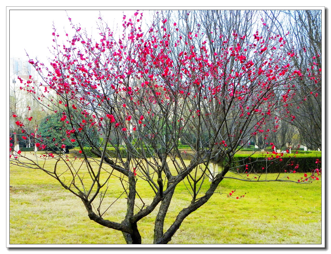 DSCN8715.JPG