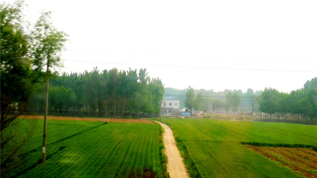 P1220788.JPG