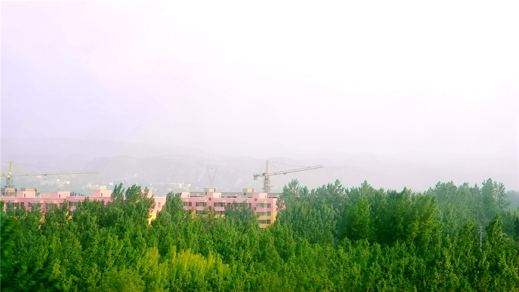 P1220901.JPG