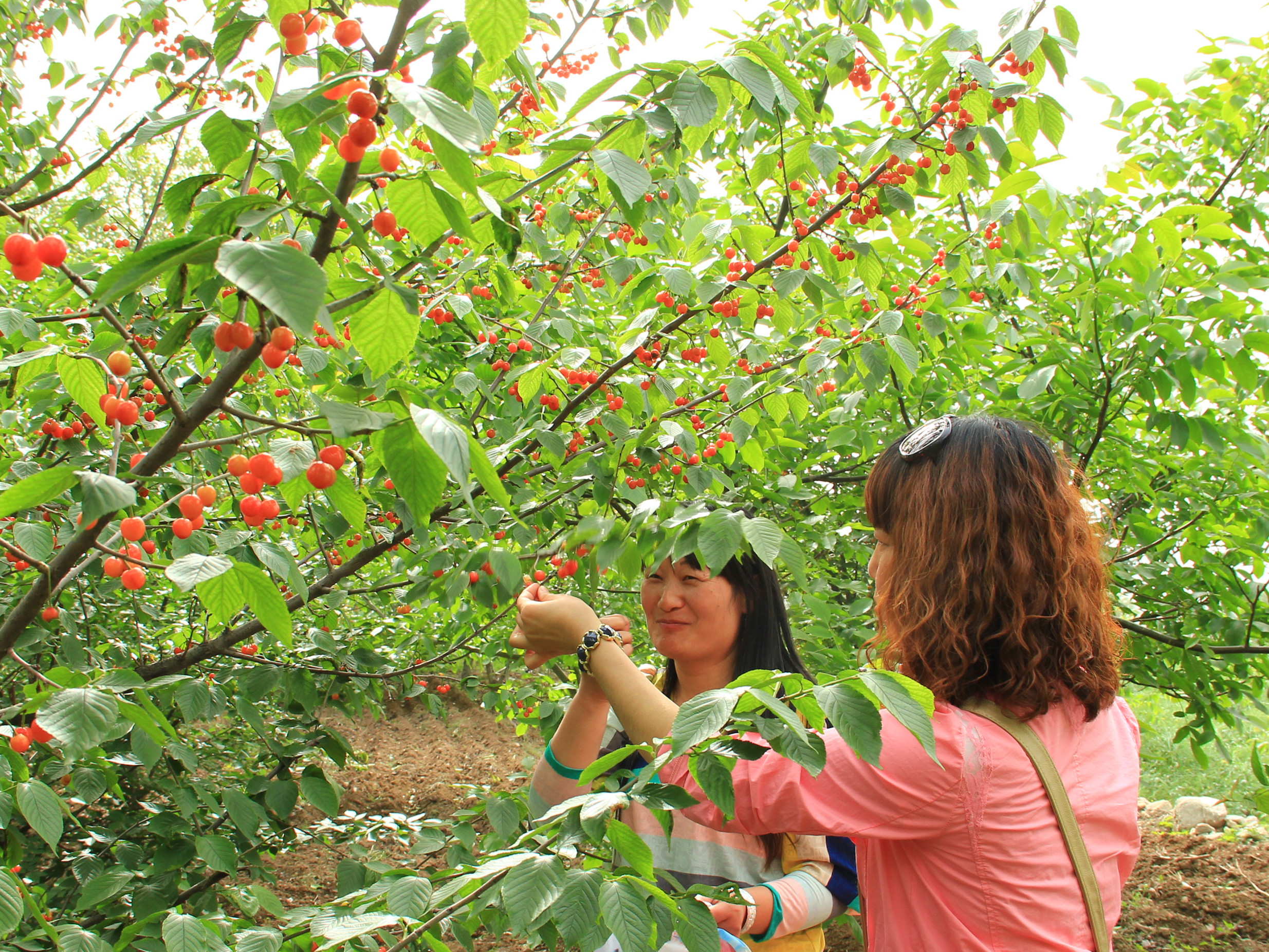 IMG_9596_副本.jpg