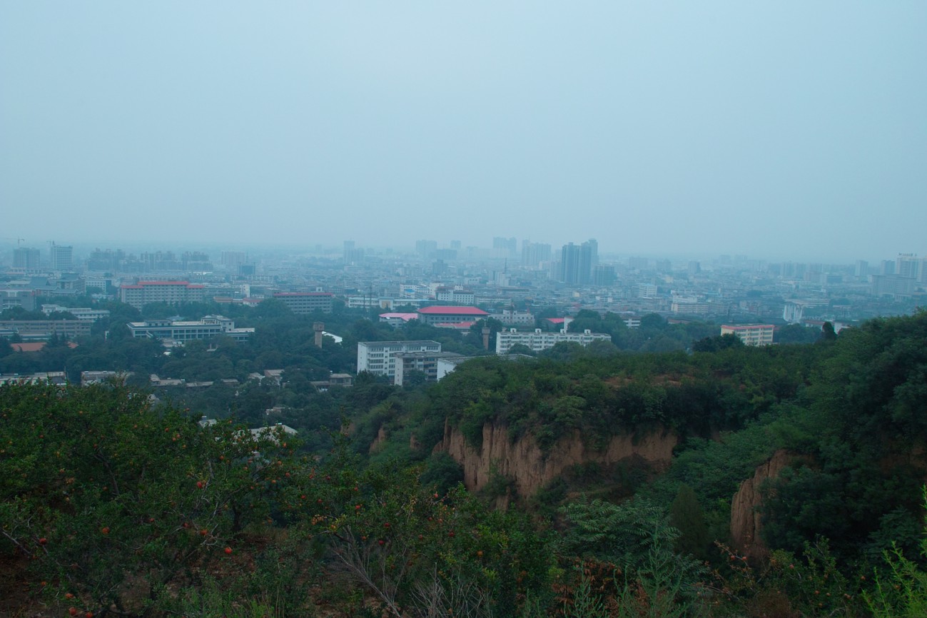 _SDI7330.jpg