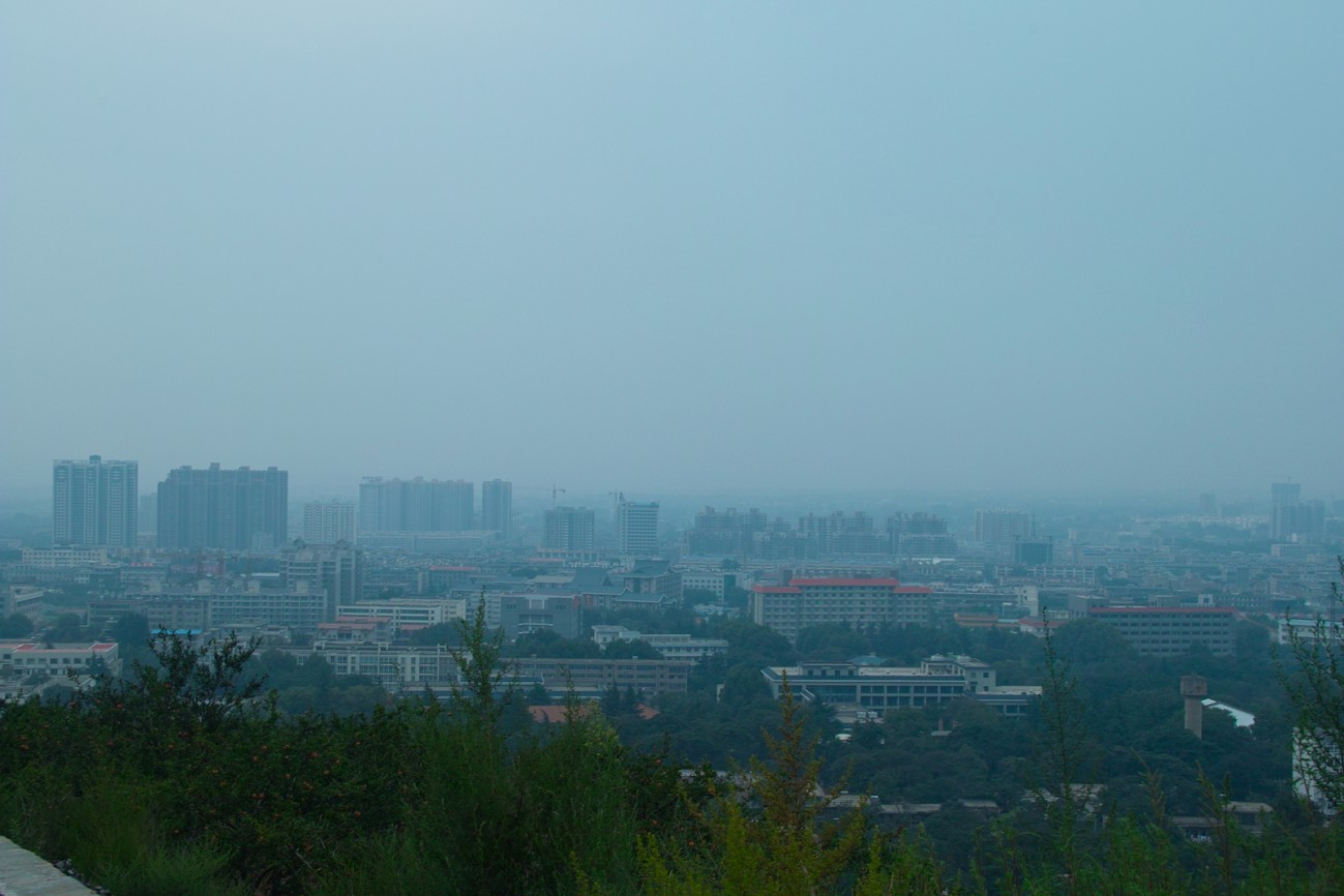_SDI7338.jpg