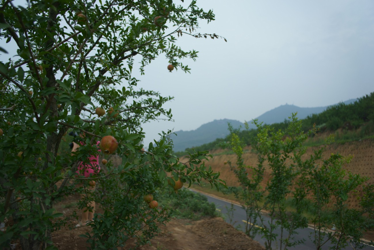 DSC07676.JPG