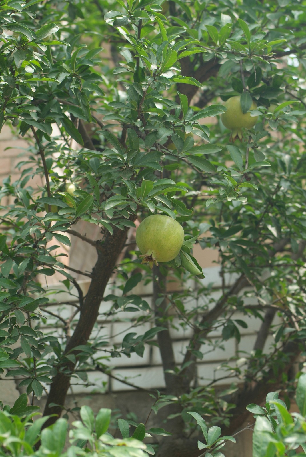 DSCF8281.JPG