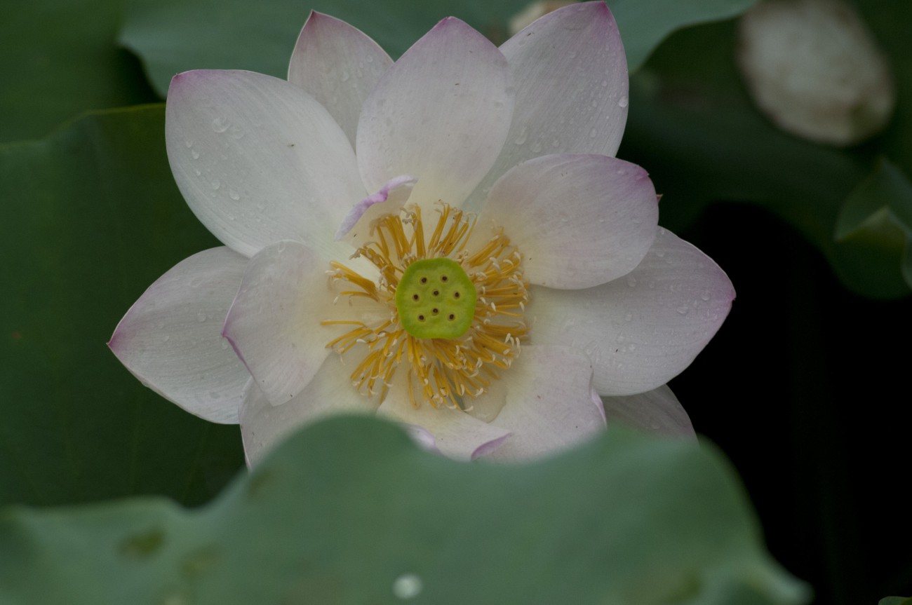 DSC_0999.jpg