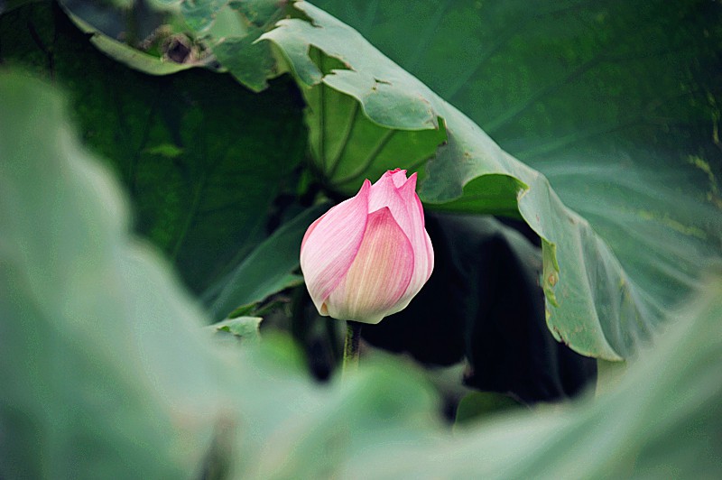 DSC_0168_副本.jpg