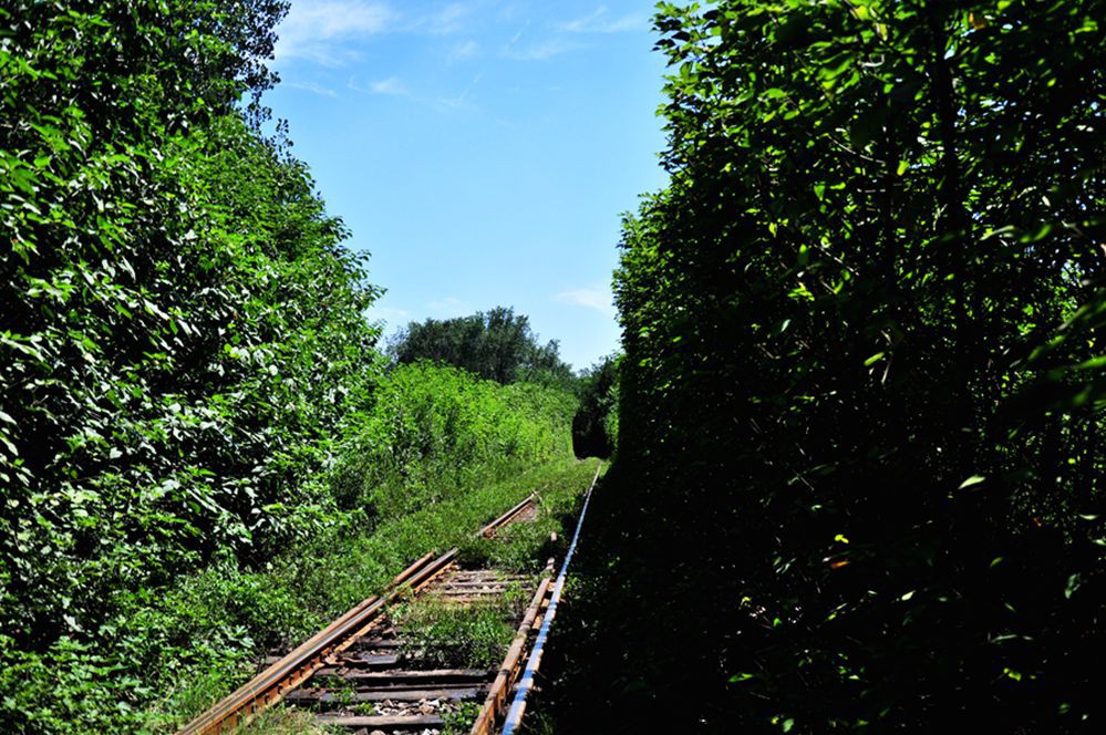 DSC_0188.jpg