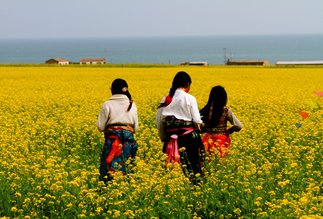 油菜花-2.jpg