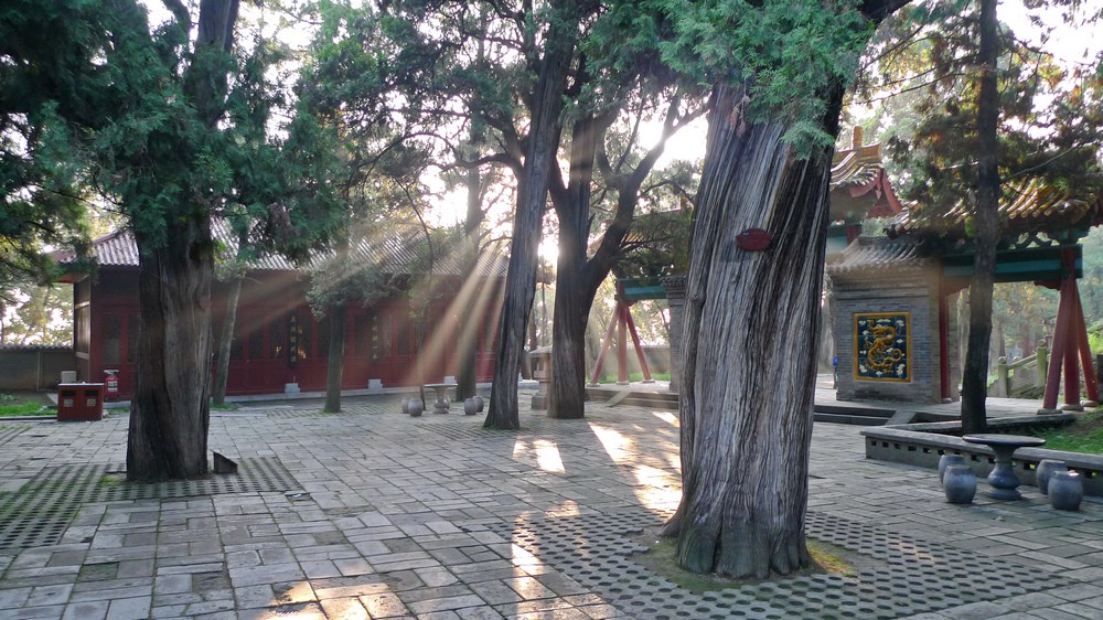 P1040649.jpg