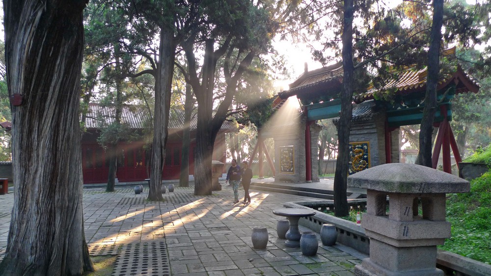 P1040650.jpg