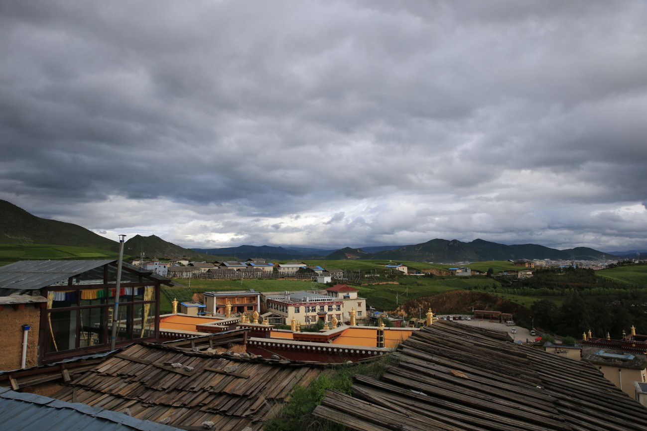 BF7I7554_副本.jpg