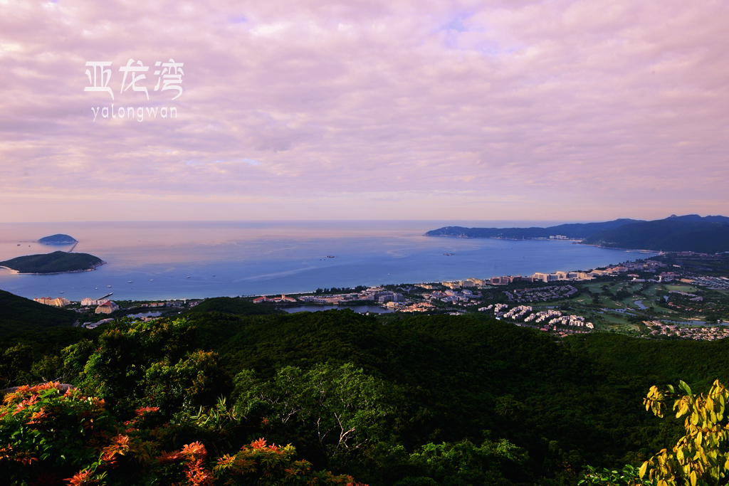 鸟巢朝霞.jpg
