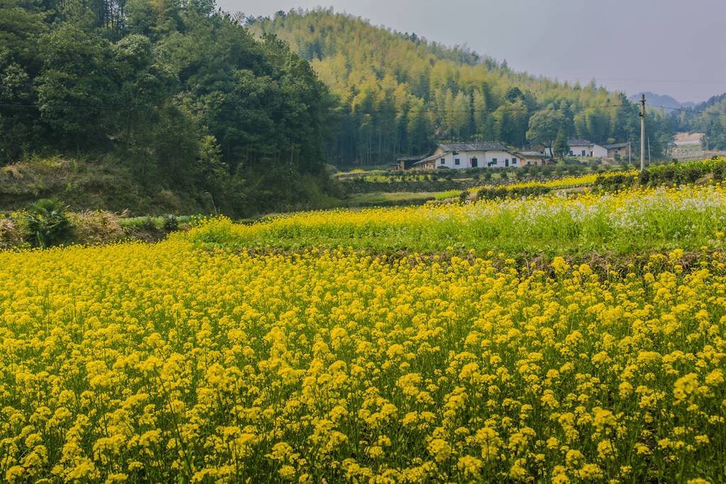 天柱山04.jpg