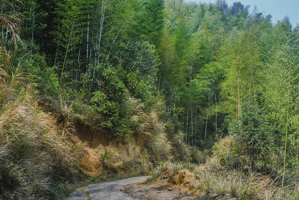 天柱山05.jpg