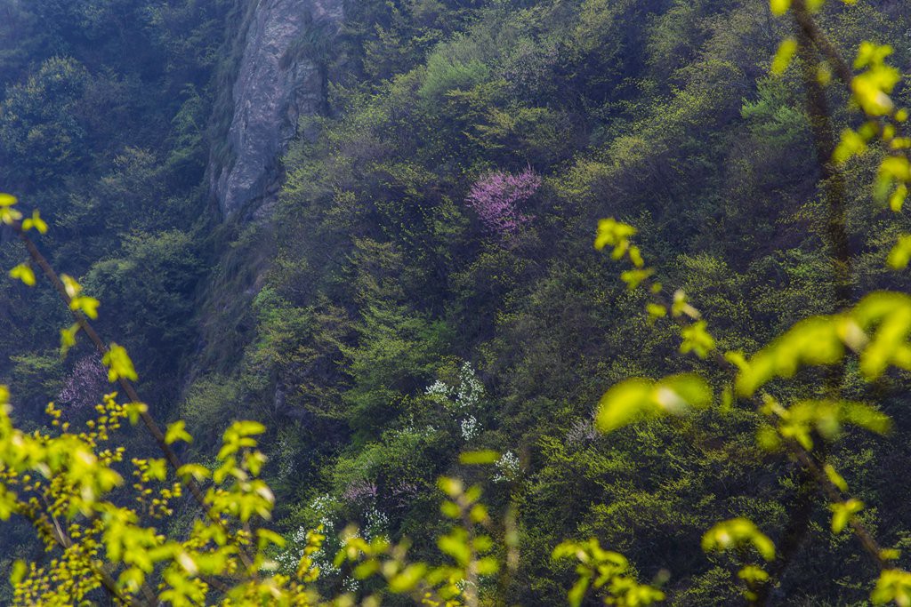 天柱山06.jpg