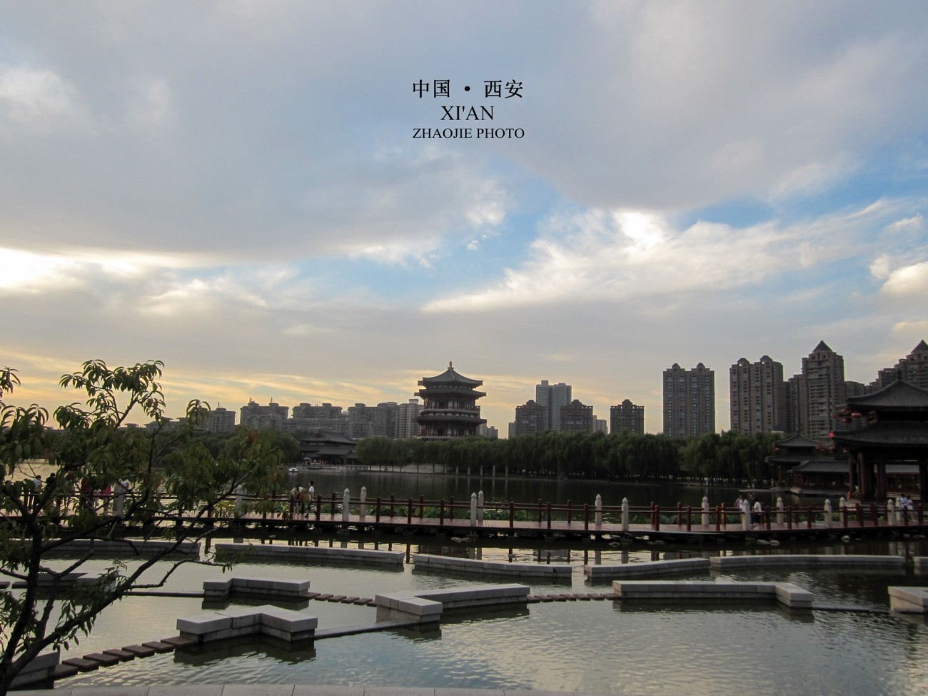 IMG_8655f.jpg